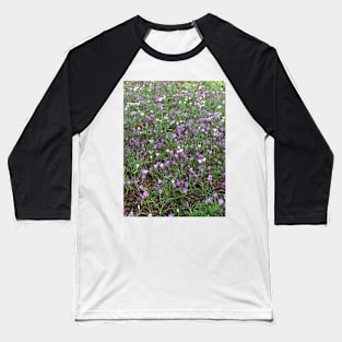 The Spring Crocus - Reminding me of Easter Baseball T-Shirt